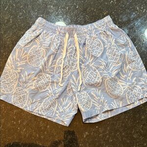 Chubbies Blue and White Pineapple Swim Board Shorts